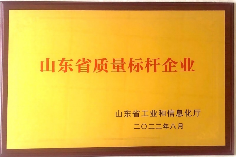 2022年度山东省质量标杆企业
